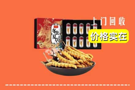 锡林郭勒太仆寺旗回收冬虫夏草